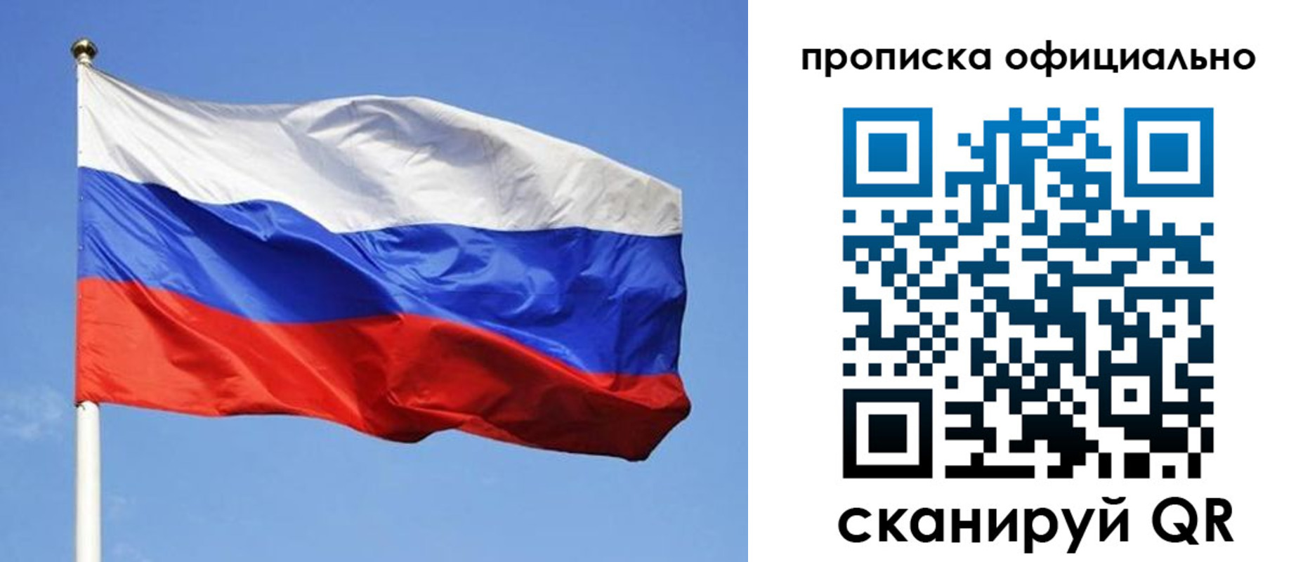 прописка поиск в Мытищах